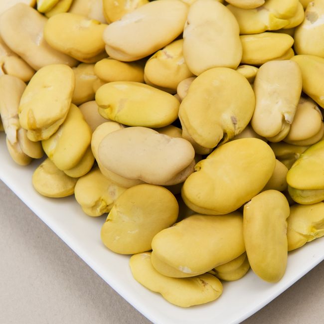 Habas Beans